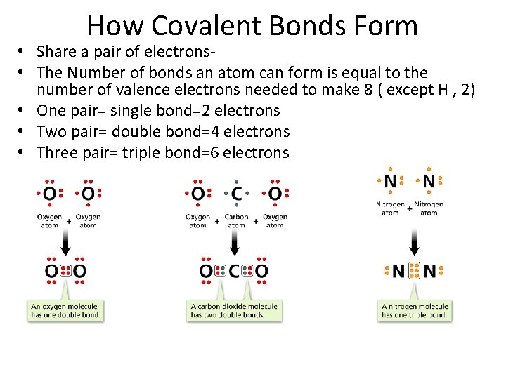 - Covalent Bonds How Covalent Bonds Form • Share a pair of electrons •