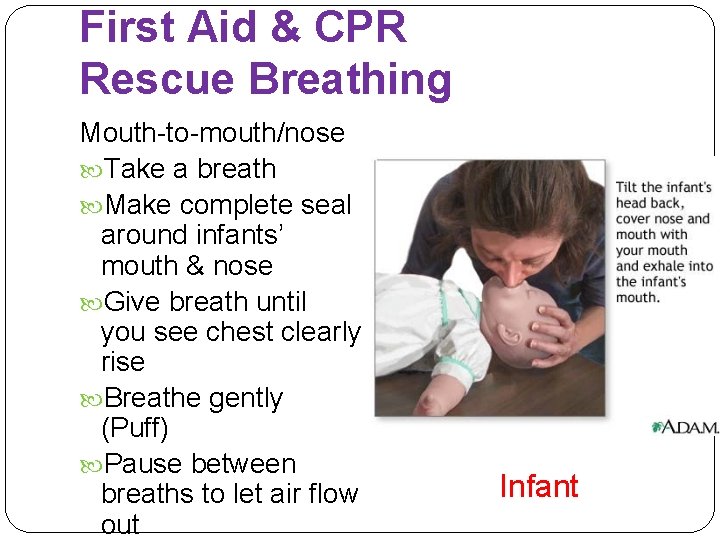 First Aid & CPR Rescue Breathing Mouth-to-mouth/nose Take a breath Make complete seal around