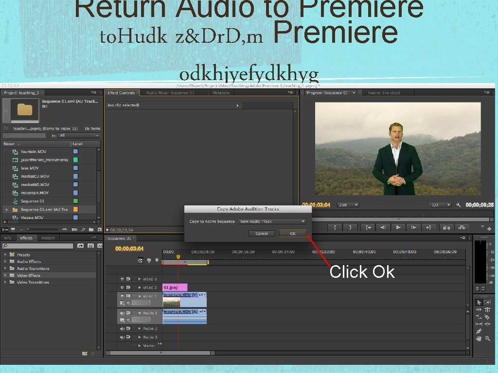 Return Audio to Premiere to. Hudk z&Dr. D, m Premiere odkhjyefydkhyg Click Ok 