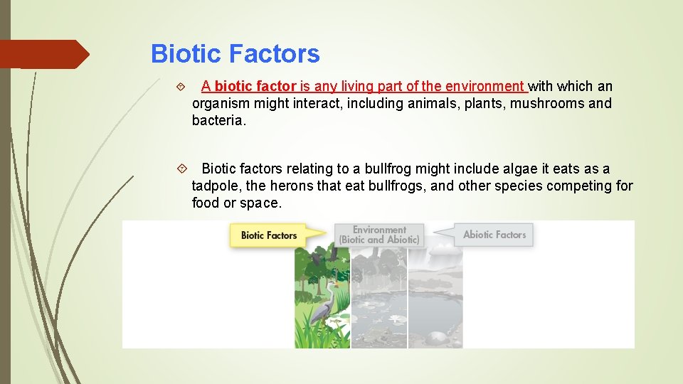 Biotic Factors A biotic factor is any living part of the environment with which