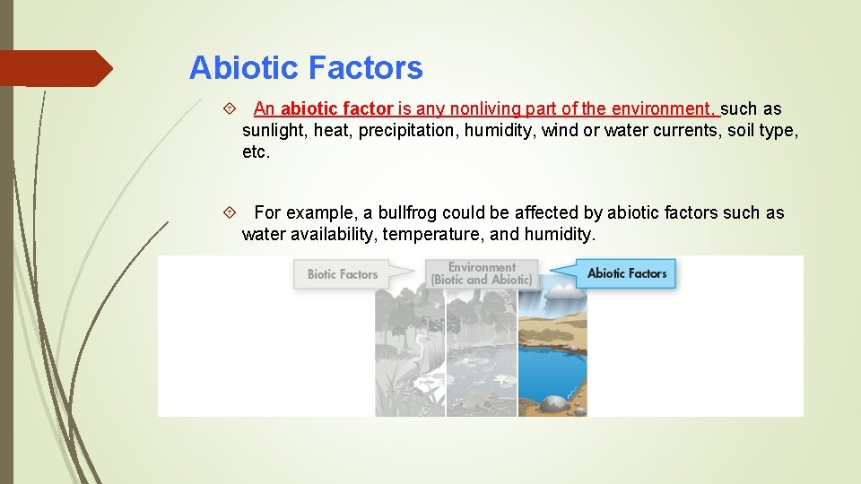 Abiotic Factors An abiotic factor is any nonliving part of the environment, such as