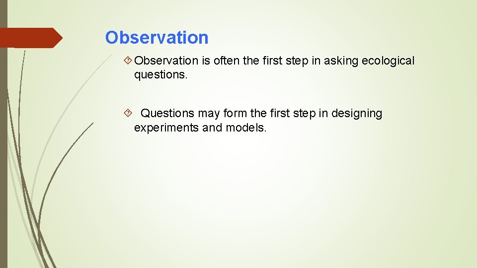 Observation is often the first step in asking ecological questions. Questions may form the