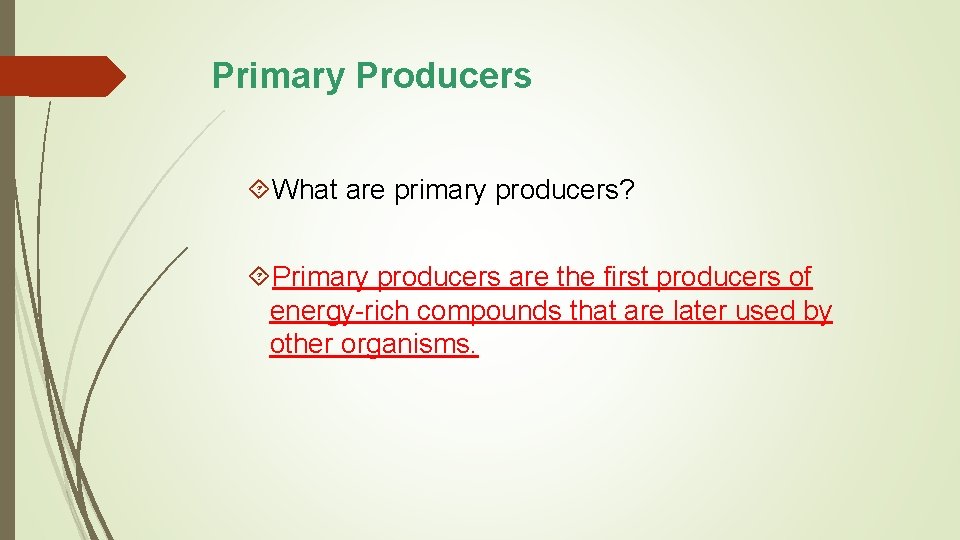 Primary Producers What are primary producers? Primary producers are the first producers of energy-rich