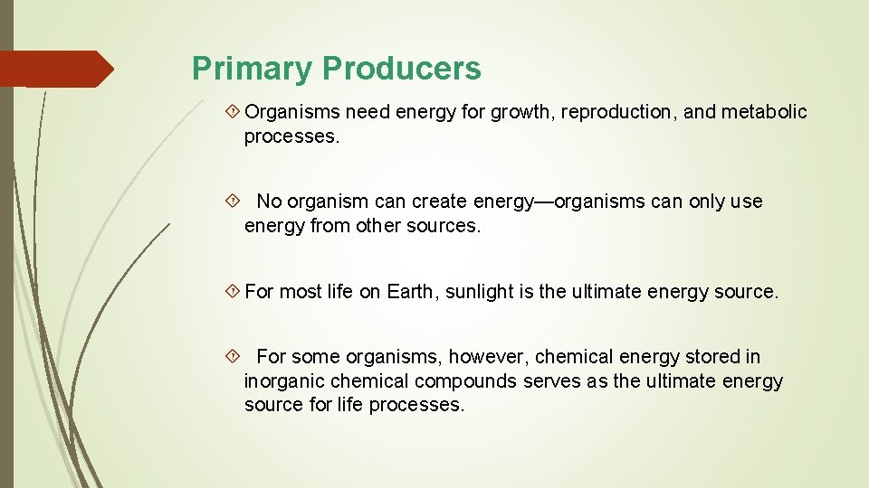 Primary Producers Organisms need energy for growth, reproduction, and metabolic processes. No organism can