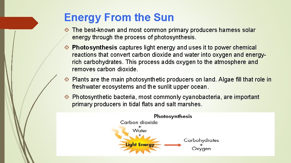 Energy From the Sun The best-known and most common primary producers harness solar energy