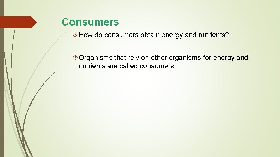 Consumers How do consumers obtain energy and nutrients? Organisms that rely on other organisms