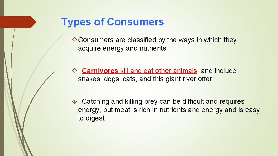 Types of Consumers are classified by the ways in which they acquire energy and