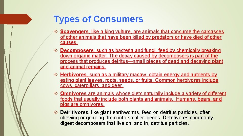 Types of Consumers Scavengers, like a king vulture, are animals that consume the carcasses