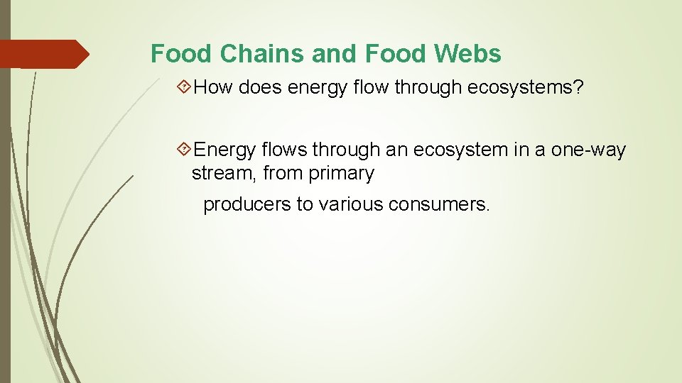Food Chains and Food Webs How does energy flow through ecosystems? Energy flows through