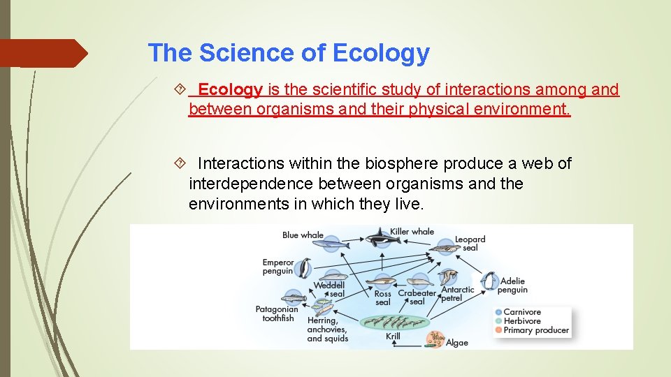 The Science of Ecology is the scientific study of interactions among and between organisms
