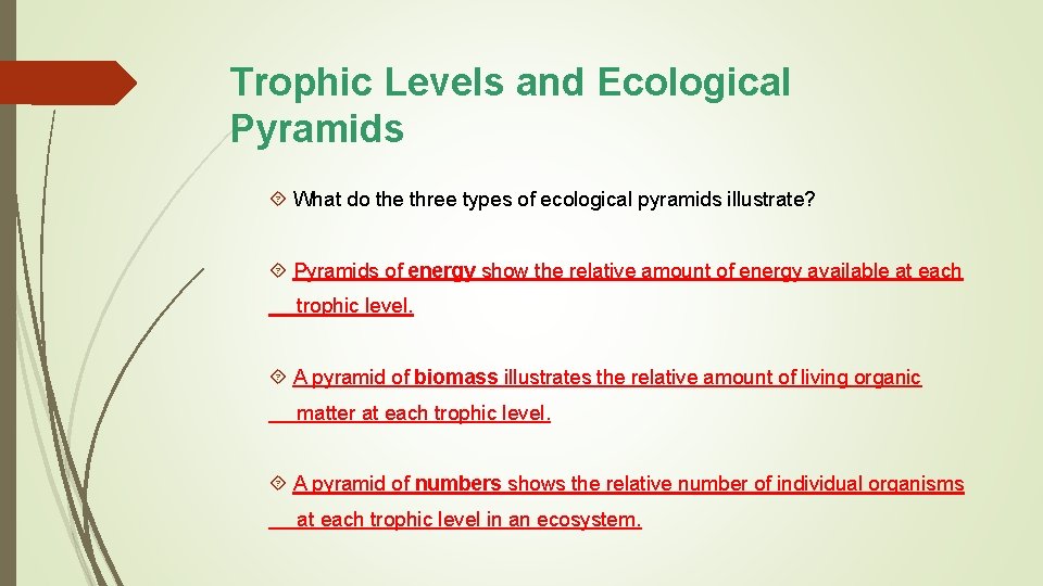 Trophic Levels and Ecological Pyramids What do the three types of ecological pyramids illustrate?