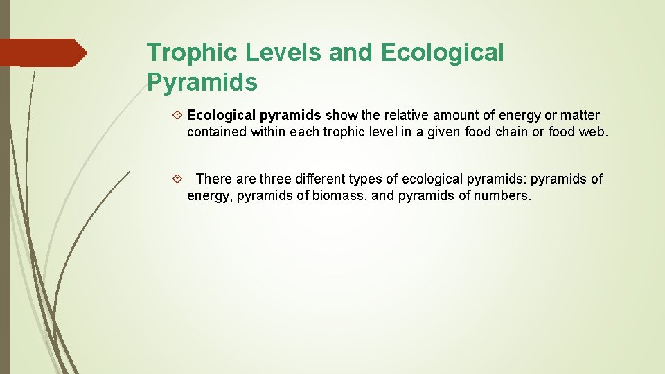 Trophic Levels and Ecological Pyramids Ecological pyramids show the relative amount of energy or
