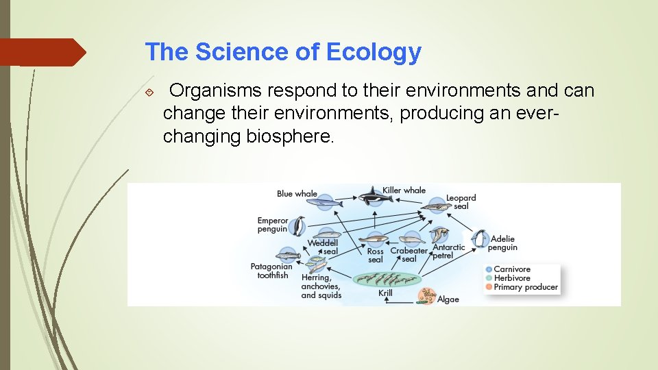 The Science of Ecology Organisms respond to their environments and can change their environments,