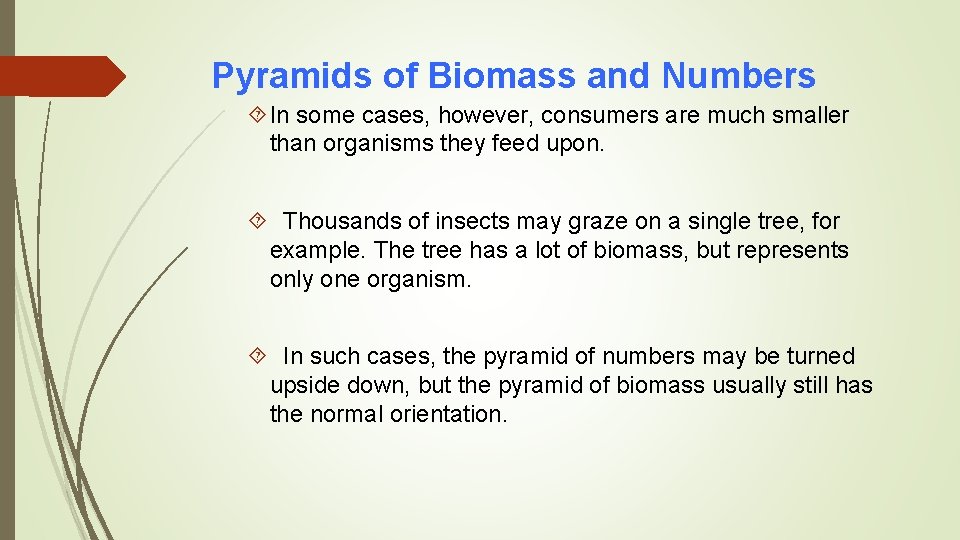 Pyramids of Biomass and Numbers In some cases, however, consumers are much smaller than