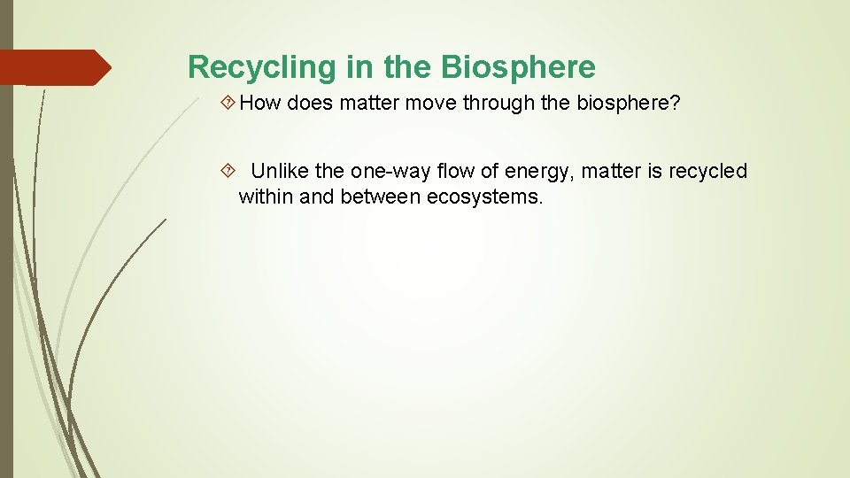 Recycling in the Biosphere How does matter move through the biosphere? Unlike the one-way