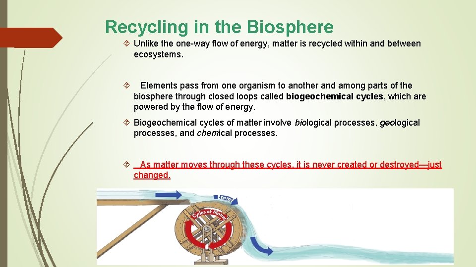 Recycling in the Biosphere Unlike the one-way flow of energy, matter is recycled within