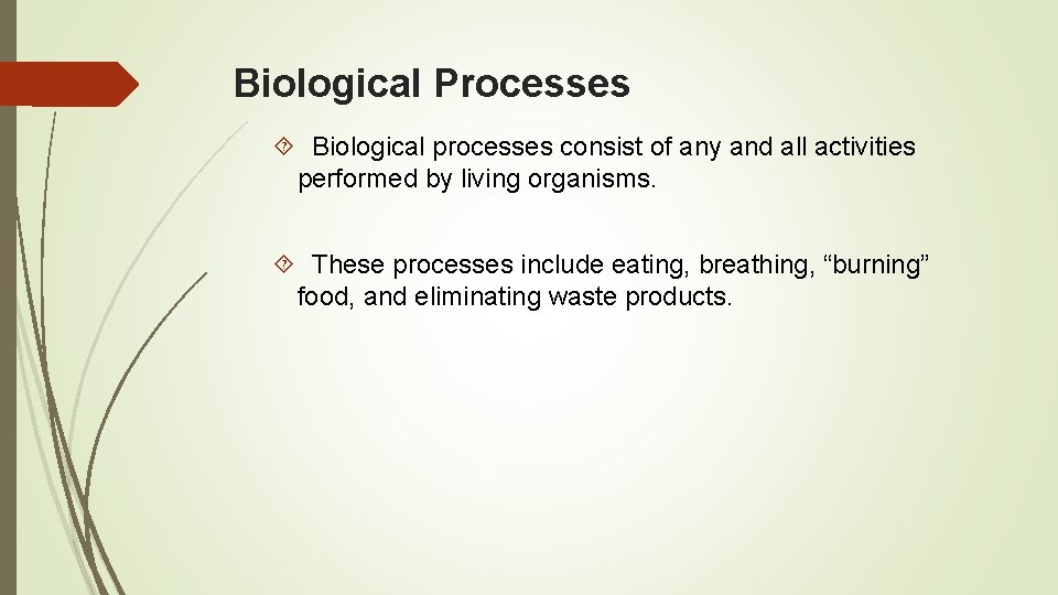 Biological Processes Biological processes consist of any and all activities performed by living organisms.