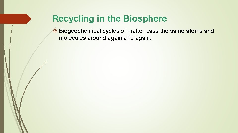 Recycling in the Biosphere Biogeochemical cycles of matter pass the same atoms and molecules