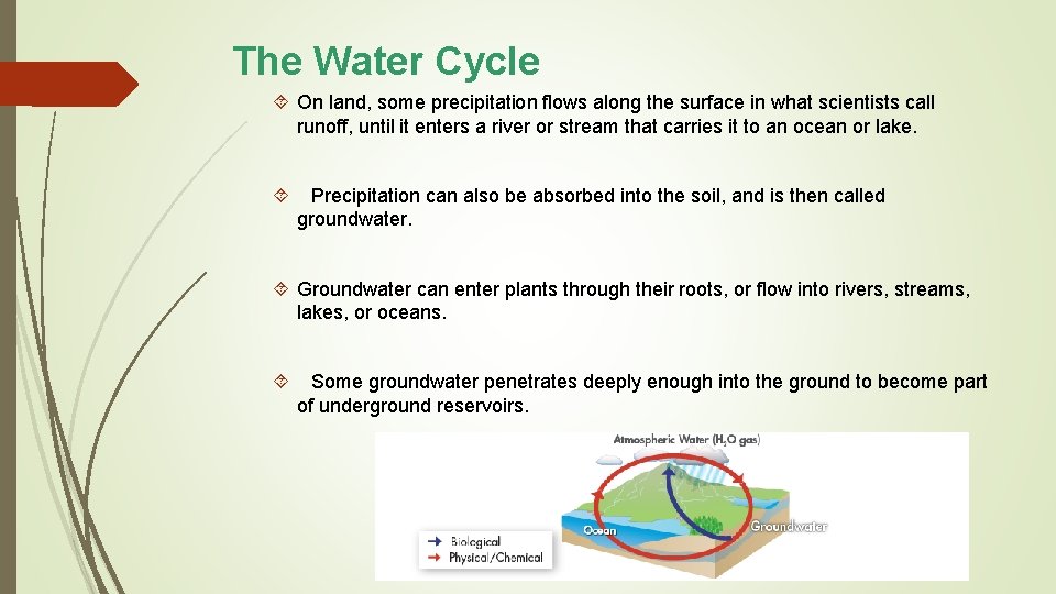 The Water Cycle On land, some precipitation flows along the surface in what scientists