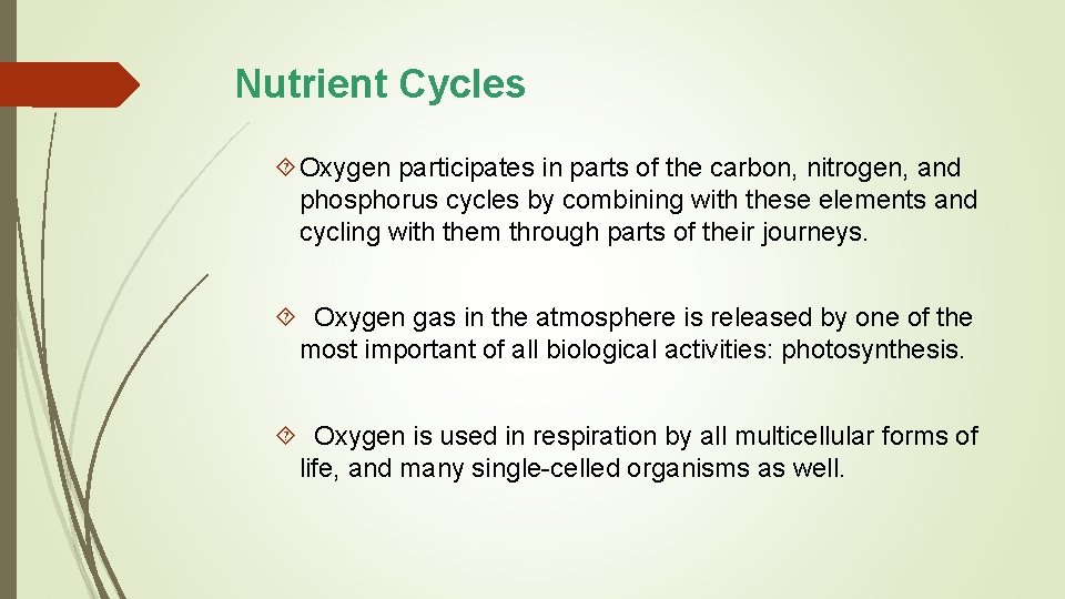 Nutrient Cycles Oxygen participates in parts of the carbon, nitrogen, and phosphorus cycles by