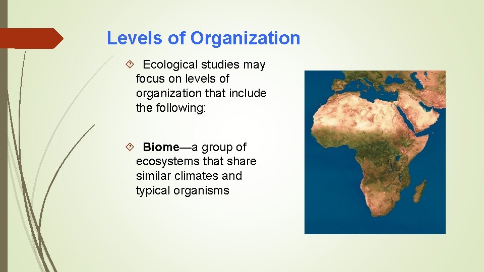 Levels of Organization Ecological studies may focus on levels of organization that include the