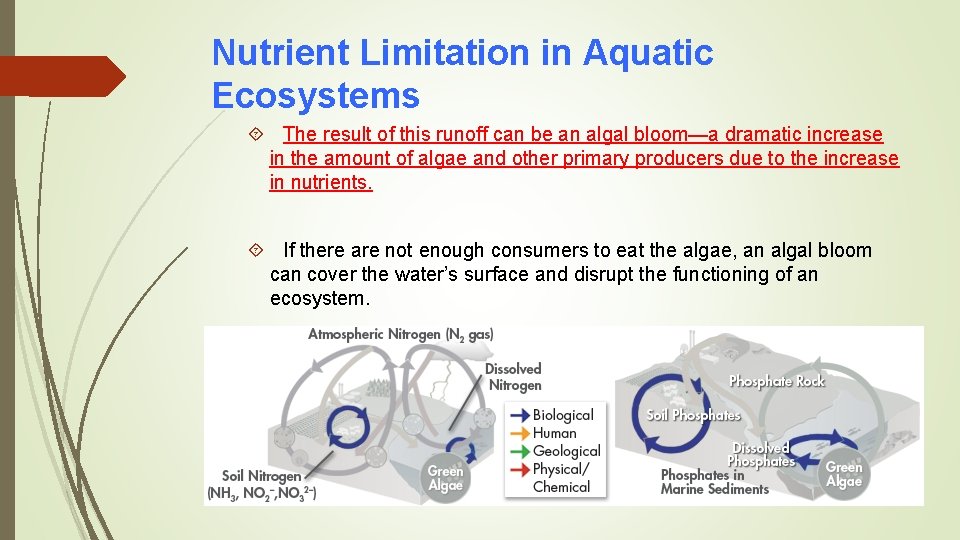 Nutrient Limitation in Aquatic Ecosystems The result of this runoff can be an algal
