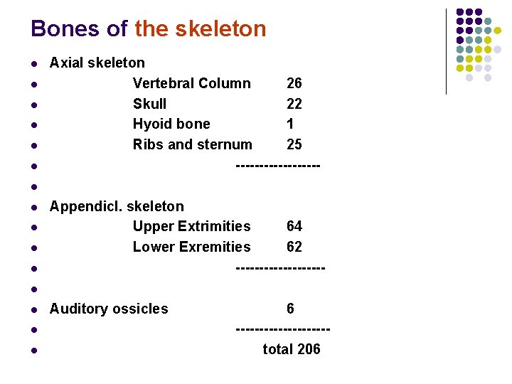 Bones of the skeleton l l l Axial skeleton Vertebral Column 26 Skull 22