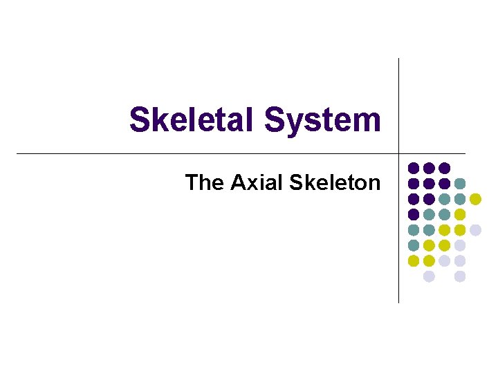 Skeletal System The Axial Skeleton 