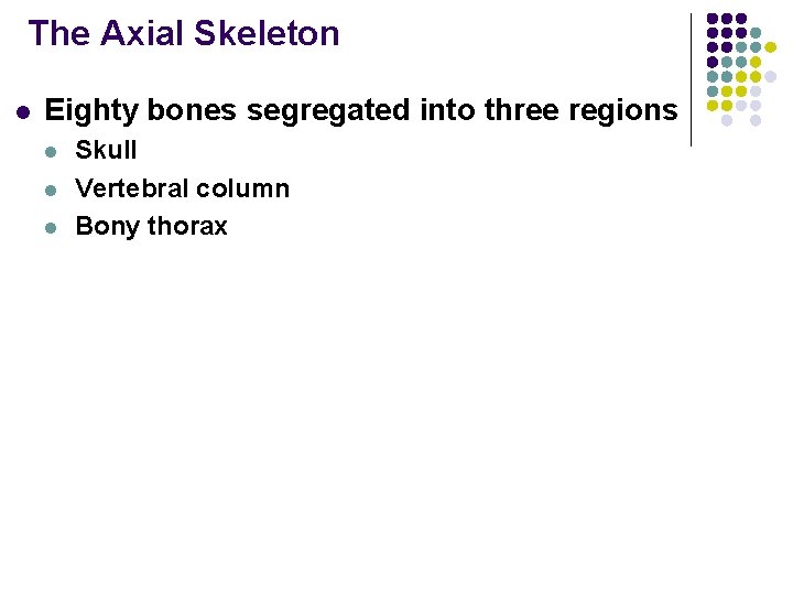 The Axial Skeleton l Eighty bones segregated into three regions l l l Skull