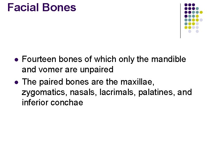 Facial Bones l l Fourteen bones of which only the mandible and vomer are