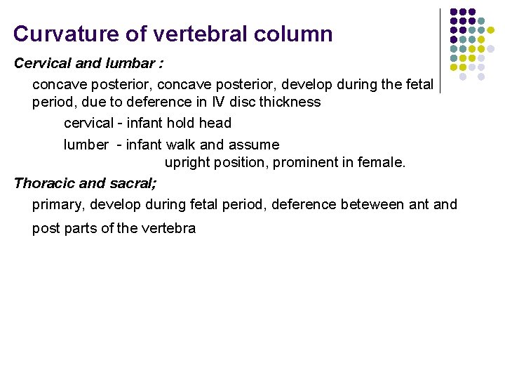 Curvature of vertebral column Cervical and lumbar : concave posterior, develop during the fetal