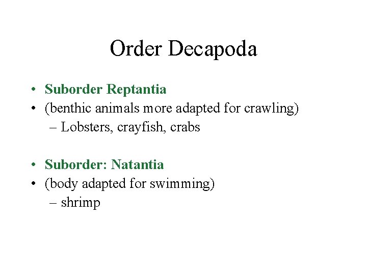 Order Decapoda • Suborder Reptantia • (benthic animals more adapted for crawling) – Lobsters,