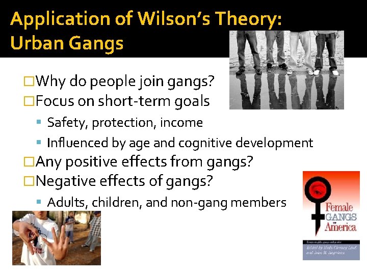 Application of Wilson’s Theory: Urban Gangs �Why do people join gangs? �Focus on short-term