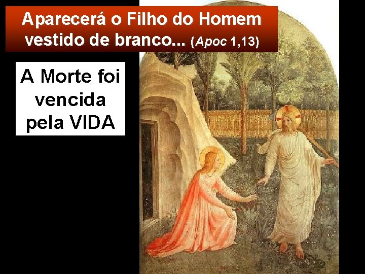 Aparecerá o Filho do Homem vestido de branco. . . (Apoc 1, 13) A