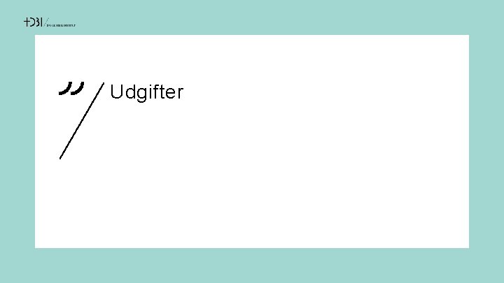 Udgifter 