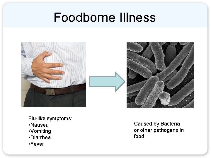 Foodborne Illness Flu-like symptoms: • Nausea • Vomiting • Diarrhea • Fever Caused by