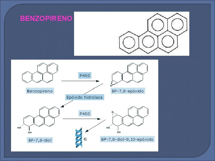 BENZOPIRENO 