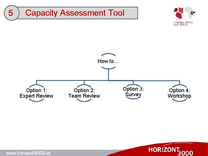 5 Capacity Assessment Tool How to… Option 1: Expert Review Option 2: Team Review