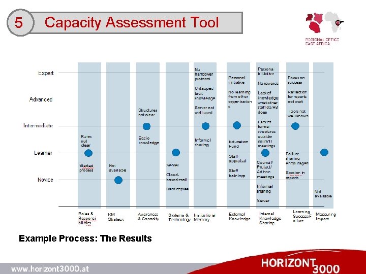 5 Capacity Assessment Tool Example Process: The Results 