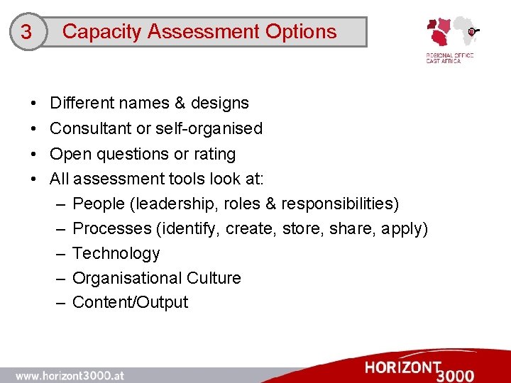 3 • • Capacity Assessment Options Different names & designs Consultant or self-organised Open