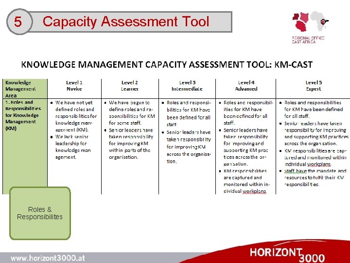 5 Capacity Assessment Tool Roles & Responsibilites 