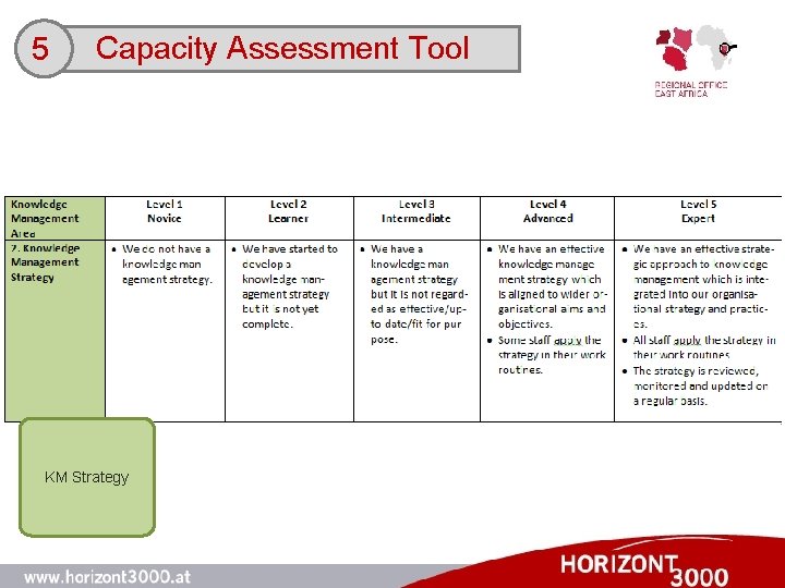 5 Capacity Assessment Tool KM Strategy 