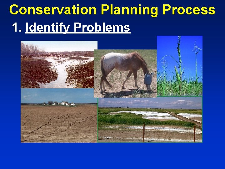 Conservation Planning Process 1. Identify Problems 