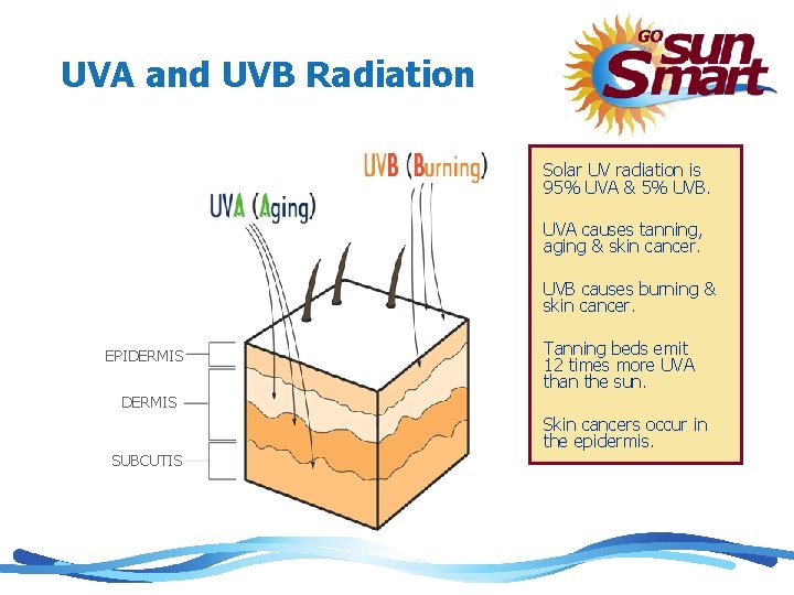 UVA and UVB Radiation Solar UV radiation is 95% UVA & 5% UVB. UVA