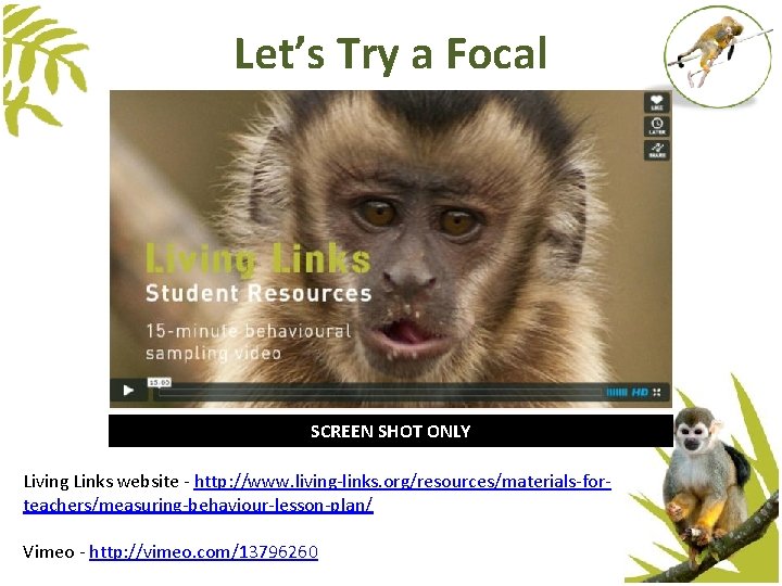 Let’s Try a Focal SCREEN SHOT ONLY Living Links website - http: //www. living-links.