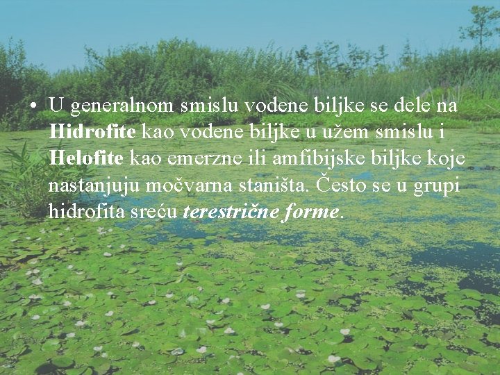  • U generalnom smislu vodene biljke se dele na Hidrofite kao vodene biljke