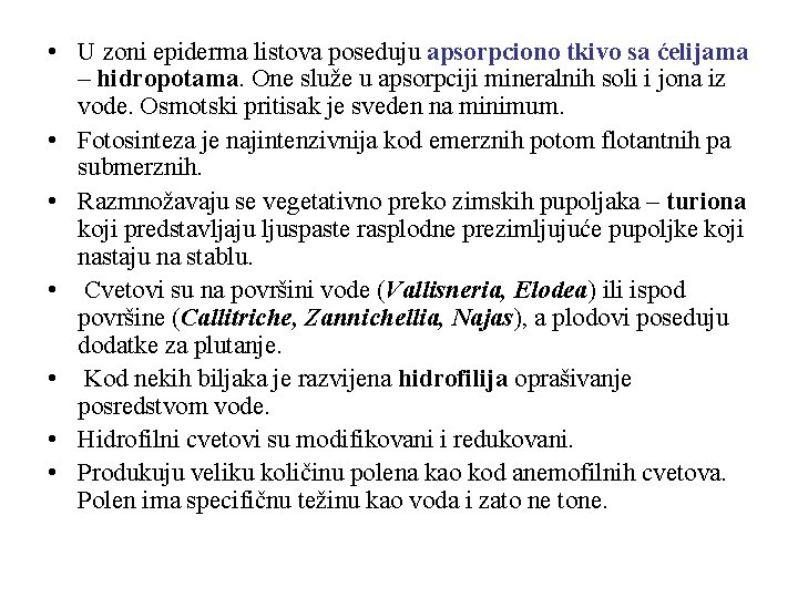  • U zoni epiderma listova poseduju apsorpciono tkivo sa ćelijama – hidropotama. One