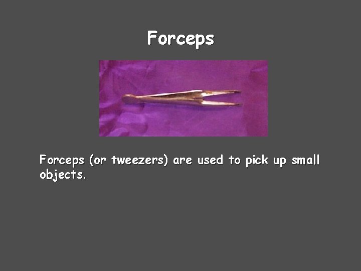 Forceps (or tweezers) are used to pick up small objects. 