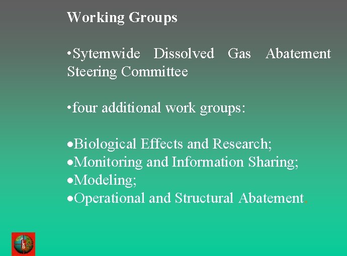 Working Groups • Sytemwide Dissolved Gas Abatement Steering Committee • four additional work groups: