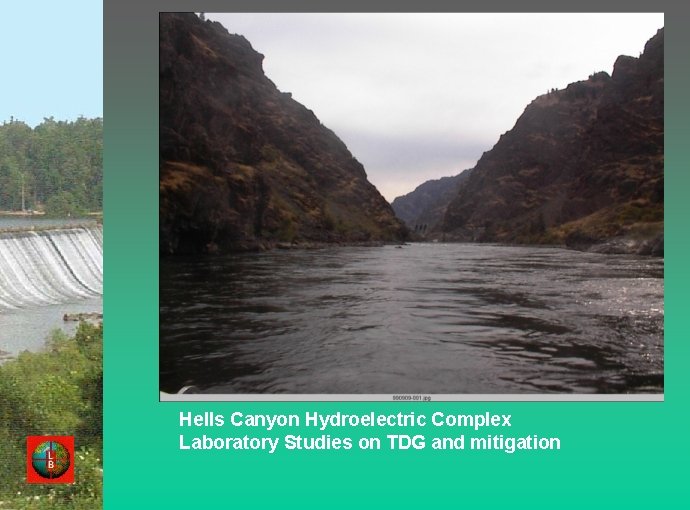 Hells Canyon Hydroelectric Complex Laboratory Studies on TDG and mitigation 